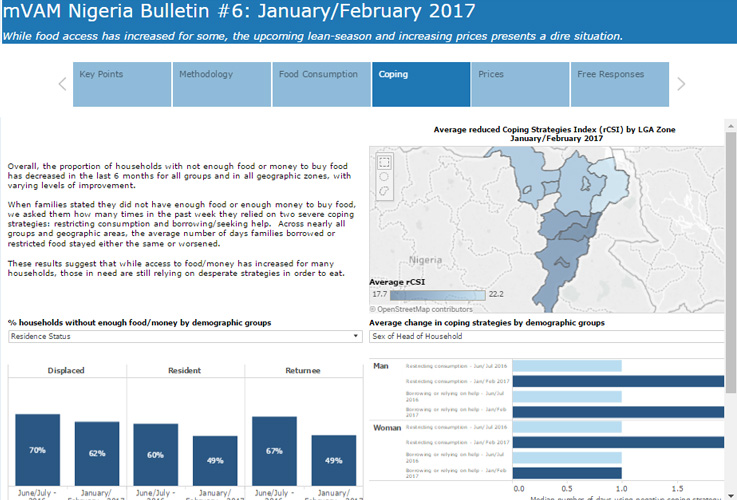 WFP Nigeria report